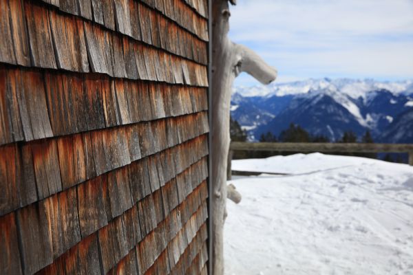 Cedar Siding Repair in Davis
