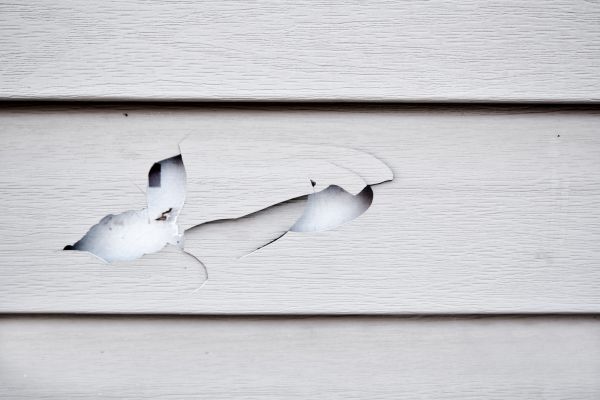 Siding Leak Repair in Davis