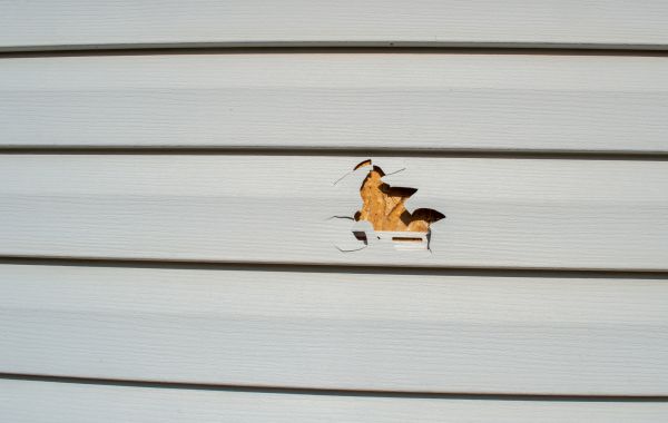 Siding Hole Patching in Davis