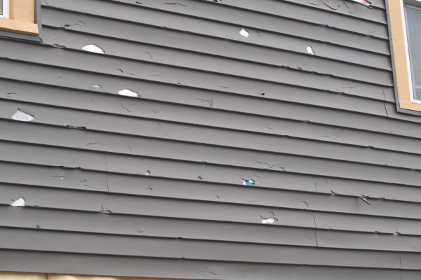 Damaged Siding Replacement in Davis