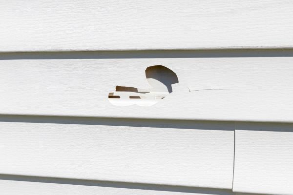 White Vinyl Siding Repair in Davis